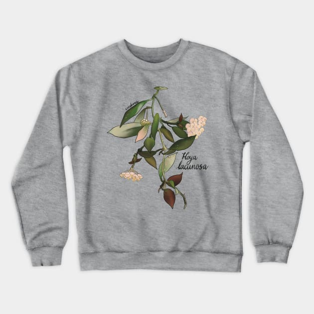 Hoya Lacunosa Crewneck Sweatshirt by Wieskunde